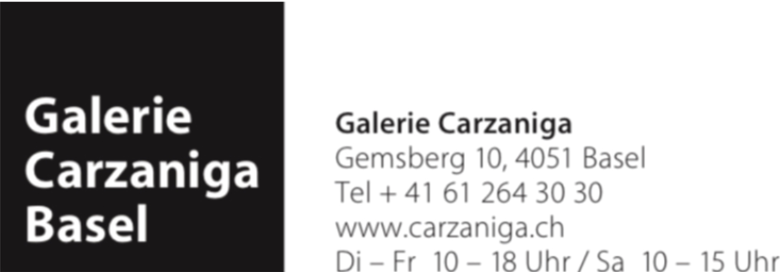 Logo Carzaniga