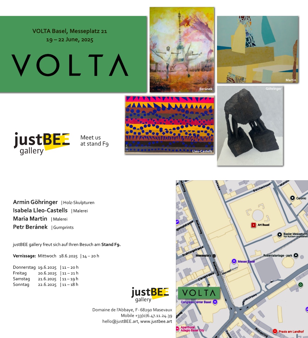 Flyer Volta 25